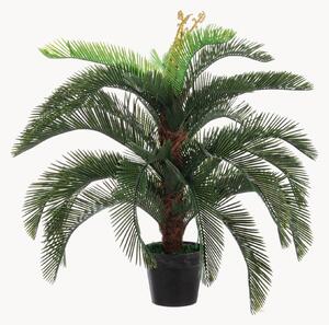 Umělá rostlina Palma Cycas