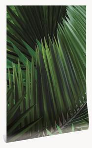 Vliesová tapeta Palm
