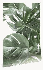 Vliesová tapeta Monstera