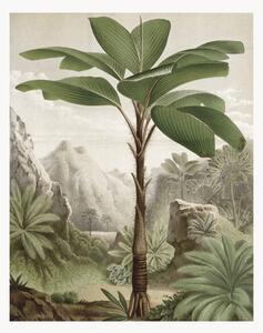 Vliesová tapeta Banana Tree