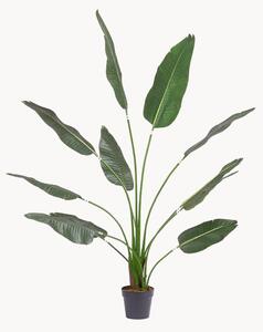 Exteriérová umělá rostlina Strelitzia