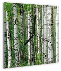 Skleněné hodiny na stěnu Břízy zskc-30x30-00176404