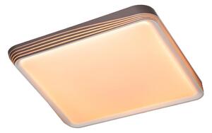 Rabalux 71166 - LED Stropní svítidlo DRUZOR LED/40W/230V 3000K