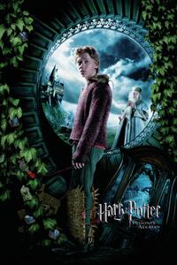 Umělecký tisk Harry Potter a Vězeň z Azkabanu - Ron