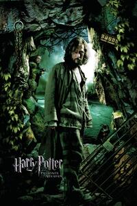 Umělecký tisk Harry Potter a Vězeň z Azkabanu - Sirius