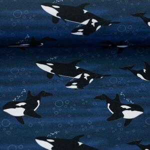 SWAFING Úplet Arctic Animals by JaTiJu kosatky