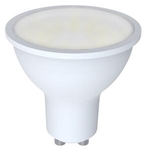 LED žárovka Trio Reflektor šedá 955-50