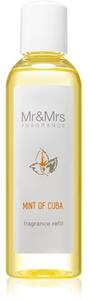 Mr & Mrs Fragrance Blanc Mint of Cuba náplň do aroma difuzérů 200 ml