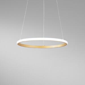 Luce Ambiente Design Závěsné LED světlo Axis, Ø 40 cm, zlatá barva, kov,, Mosaz / zlato, Obývací pokoj / jídelna, kov, Moderní