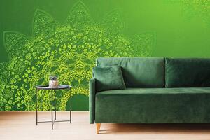 Tapeta moderní prvky Mandaly v zelené