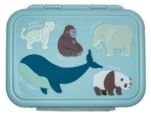 Krabička na oběd Sass & Belle Endangered Animals