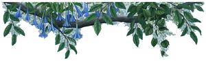 Samolepící dekorace Rostlinná bordura modrý květ