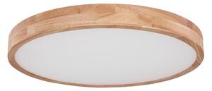 STROPNÍ LED SVÍTIDLO, 60/10,5 cm - Stropní svítidla
