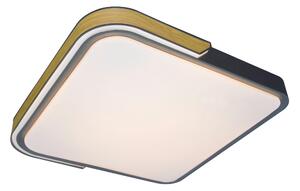 STROPNÍ LED SVÍTIDLO, 42/8,5/42 cm Rabalux - Stropní svítidla