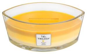 Woodwick Trilogy Fruits of Summer svíčka loď