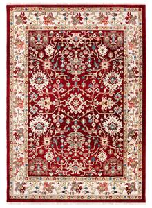 Kusový koberec Hakim bordó 120x170cm