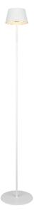 AKU STOJACÍ LAMPA, 13,5/123 cm - Stojací lampy