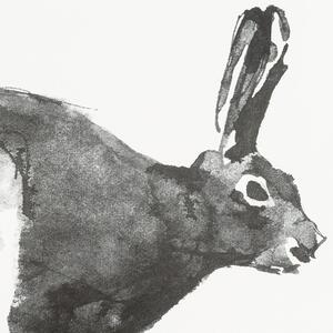 Teemu Järvi Plakát Mountain Hare 70x50