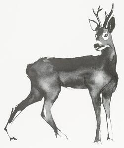 Teemu Järvi Plakát Roe Deer 50x70