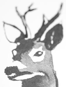 Teemu Järvi Plakát Roe Deer 50x70