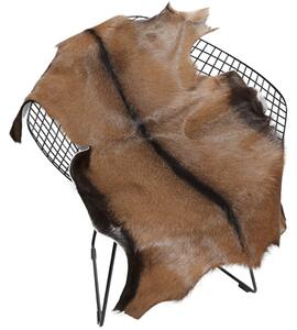 ARCTIC FUR Kozí kůže ALPINO velká 100% příroda