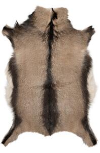 ARCTIC FUR Kozí kůže ALPINO velká 100% příroda