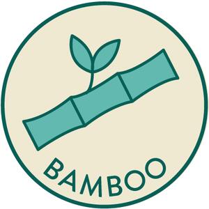 Bambusový talířek Sass & Belle T-Rex