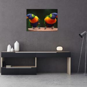 Skleněný obraz papoušků (70x50 cm)