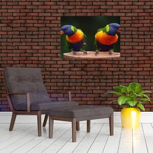Skleněný obraz papoušků (70x50 cm)