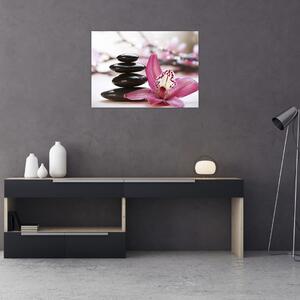 Skleněný obraz masážních kamenů a orchidee (70x50 cm)