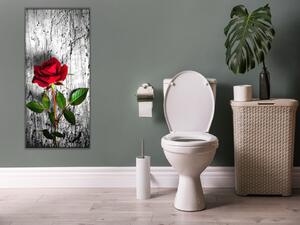 Obraz skleněný květ červená růže na dřevě - 30 x 60 cm