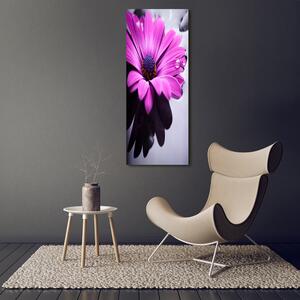 Foto-obraz canvas do obýváku Růžová gerbera pl-oc-50x125-f-104053300