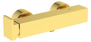 Ideal Standard Extra - Sprchová baterie nástěnná, kartáčovaná zlatá BD512A2