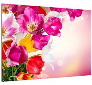 Skleněný obraz tulipánů (70x50 cm)