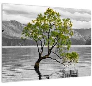 Skleněný obraz stromu uprostřed jezera (70x50 cm)