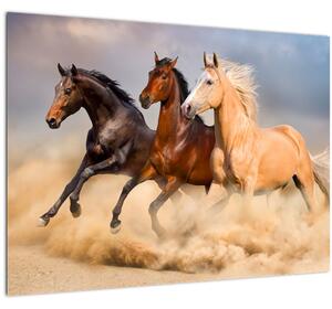 Skleněný obraz - Divocí koně (70x50 cm)