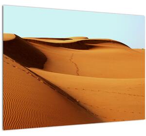 Skleněný obraz - Stopy v poušti (70x50 cm)