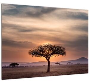 Obraz západu slunce v Tanzanii (70x50 cm)