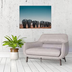 Obraz - Odchod slonů (70x50 cm)
