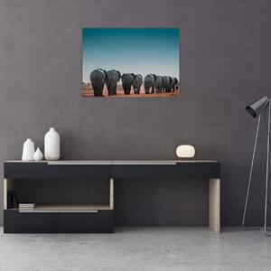 Obraz - Odchod slonů (70x50 cm)