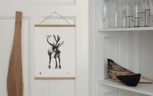 Plakát Reindeer 30x40 cm Teemu Järvi Illustrations