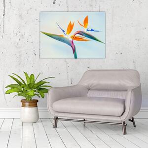 Obraz květu Strelície (70x50 cm)
