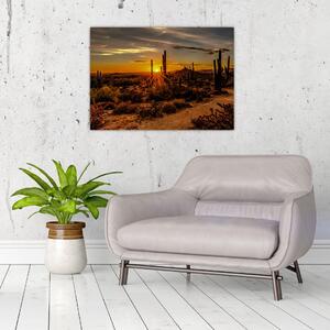 Obraz - Konec dne v arizonské poušti (70x50 cm)