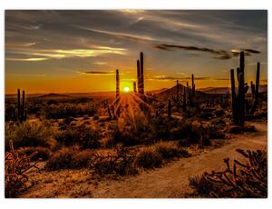 Obraz - Konec dne v arizonské poušti (70x50 cm)