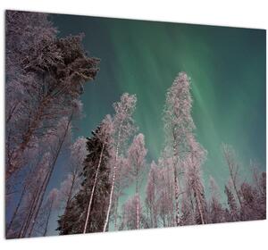 Obraz polární záře nad zmrzlými stromy (70x50 cm)