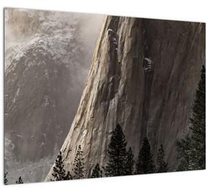 Obraz z údolí Yosemite národní parku, USA (70x50 cm)