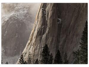 Obraz z údolí Yosemite národní parku, USA (70x50 cm)