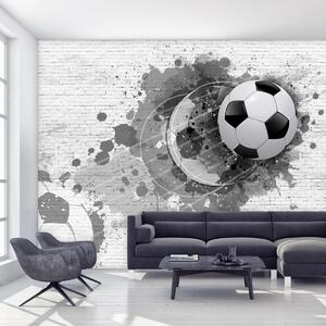 Fototapeta - Fotbalový míč (245x170 cm)