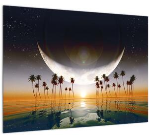 Obraz - Měsíc nad palmami (70x50 cm)