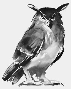 Teemu Järvi Plakát Eagle Owl 50x70
